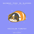 Guinea Pigs in Glasses Pins